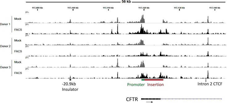 Figure 3