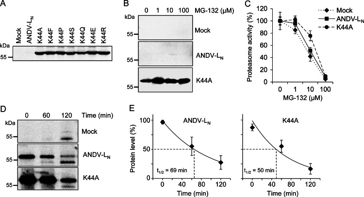 Fig 4