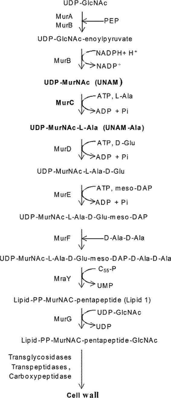 FIG 1