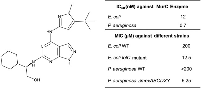 FIG 2