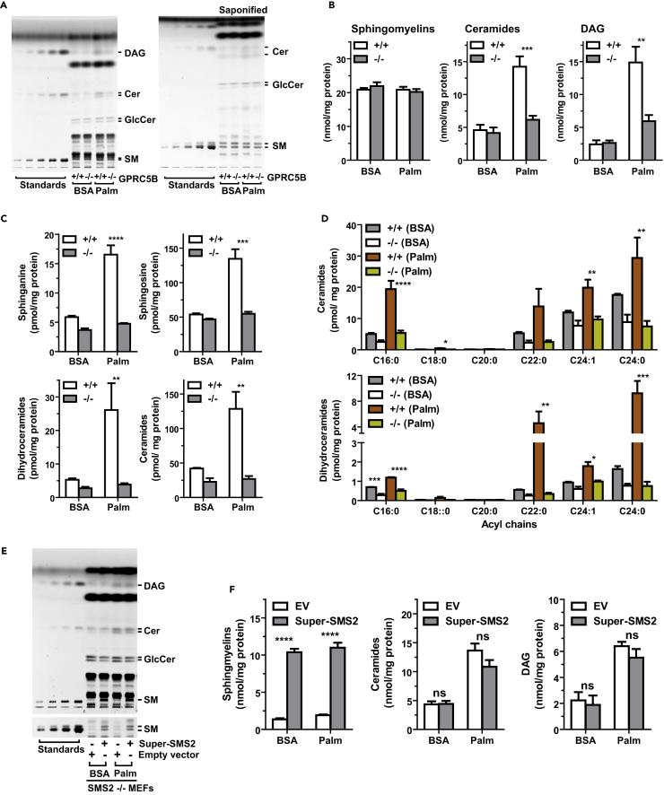 Figure 4