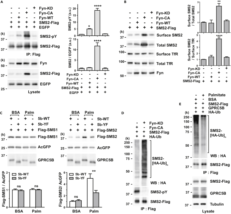 Figure 2