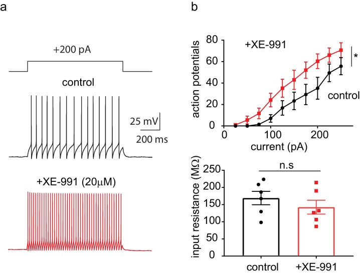 Figure 2—figure supplement 3.