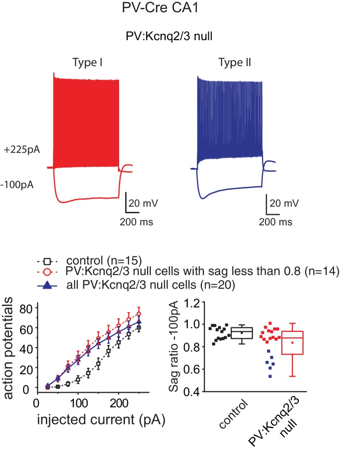 Figure 2—figure supplement 2.