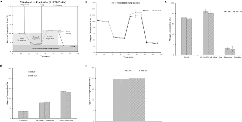 FIG. 2: