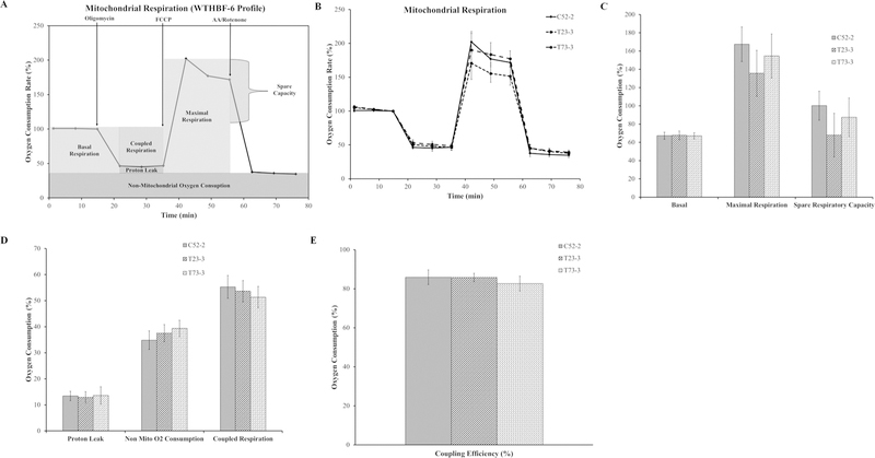 FIG. 3: