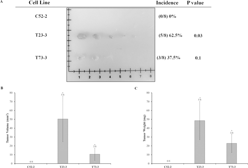 FIG. 6: