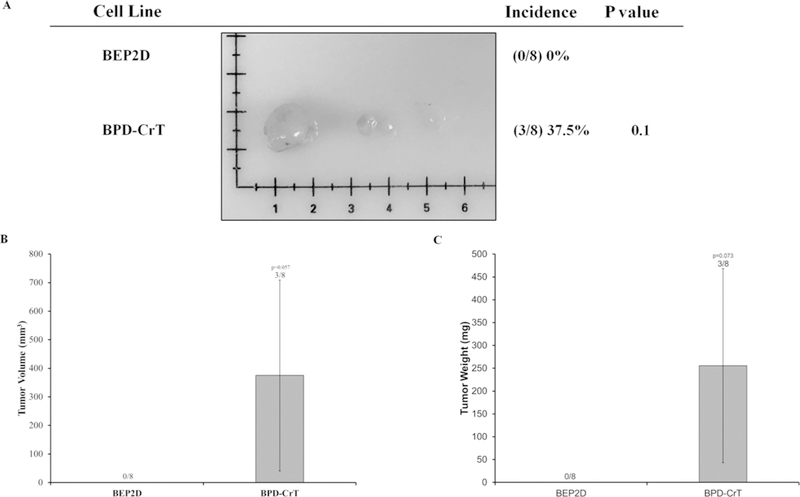 FIG. 5: