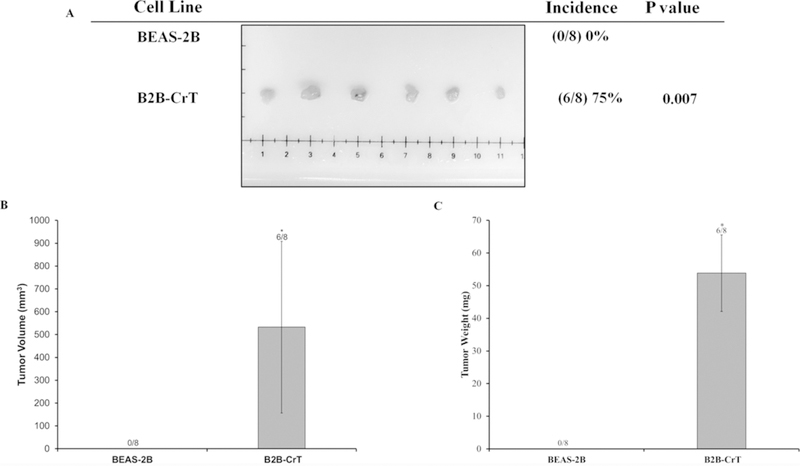 FIG. 4: