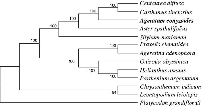 Figure 1.