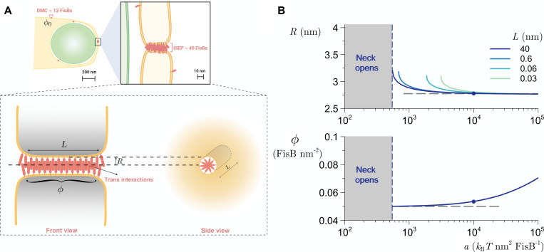 Fig 9