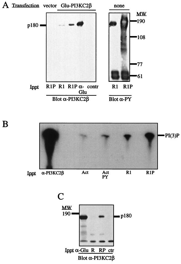 FIG. 7