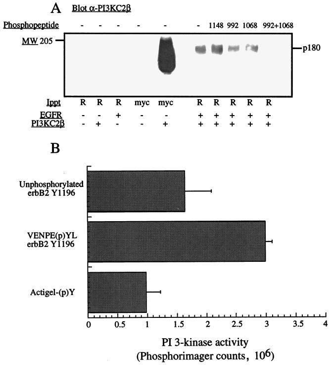 FIG. 9