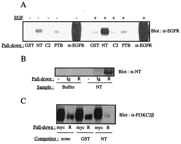 FIG. 10