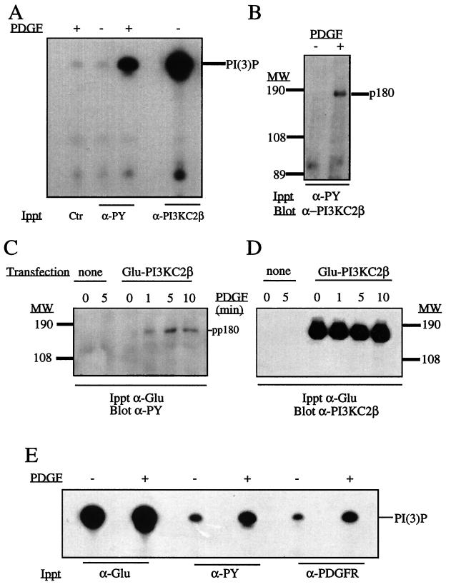 FIG. 6