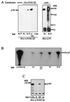 FIG. 7