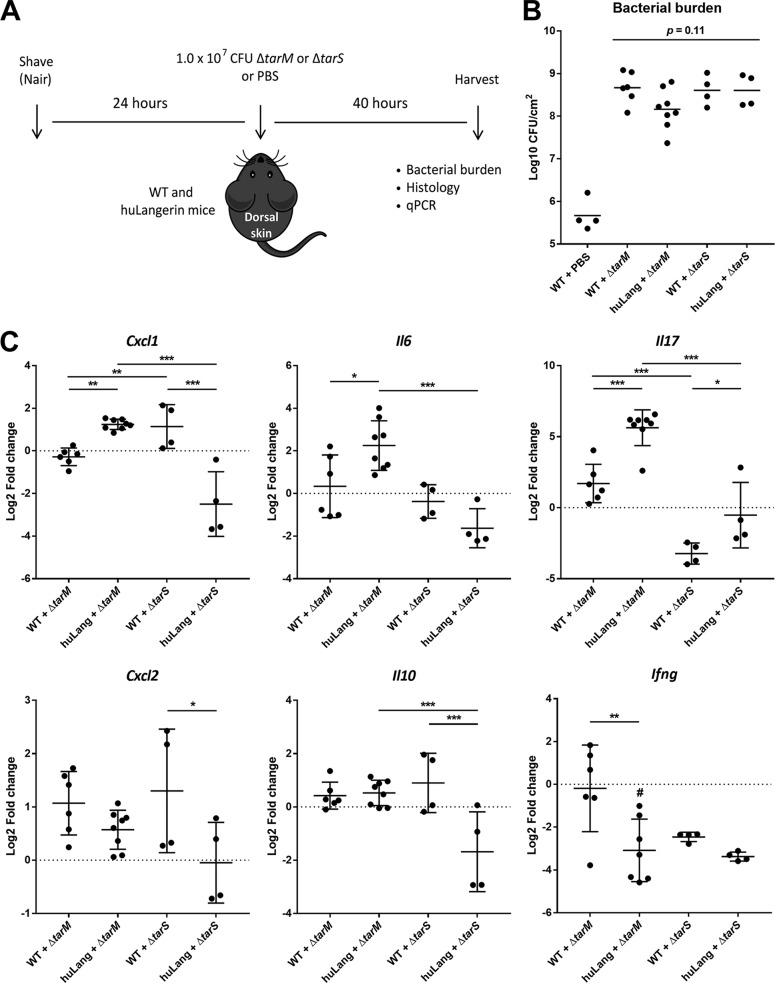 FIG 4