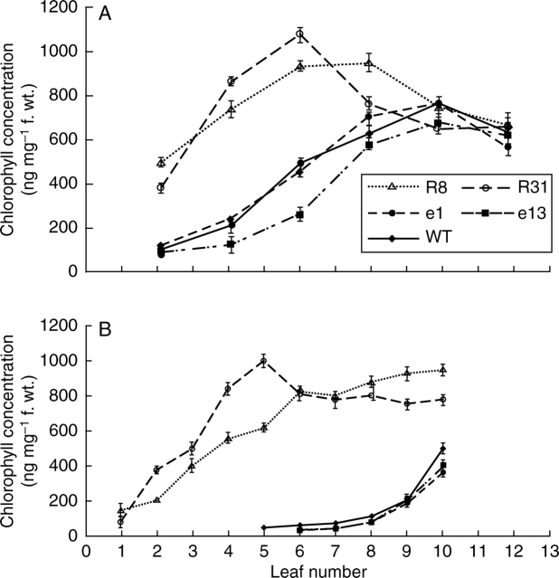 Fig. 5.