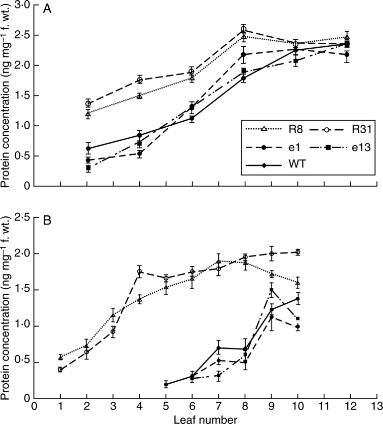 Fig. 6.