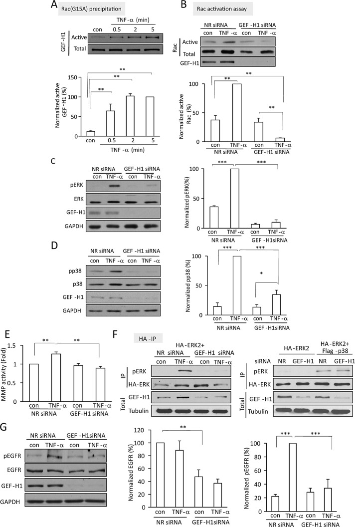 FIGURE 5: