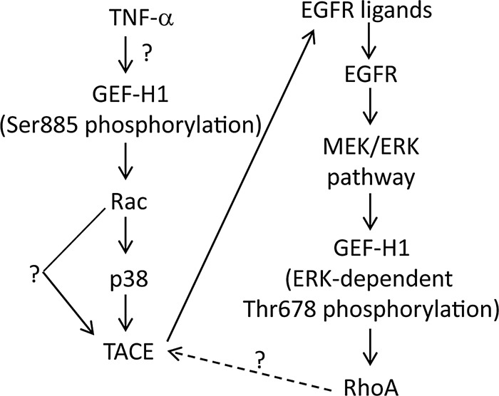 FIGURE 10: