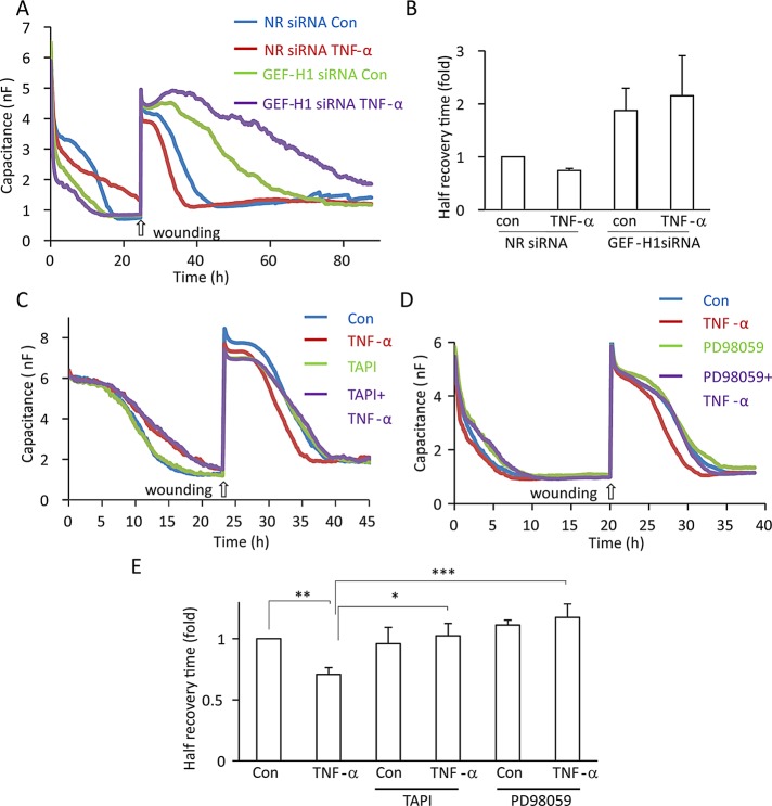 FIGURE 9: