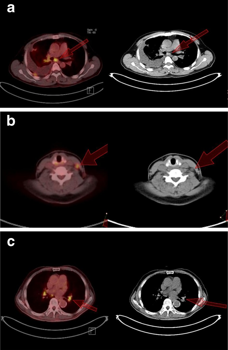 Fig. 5