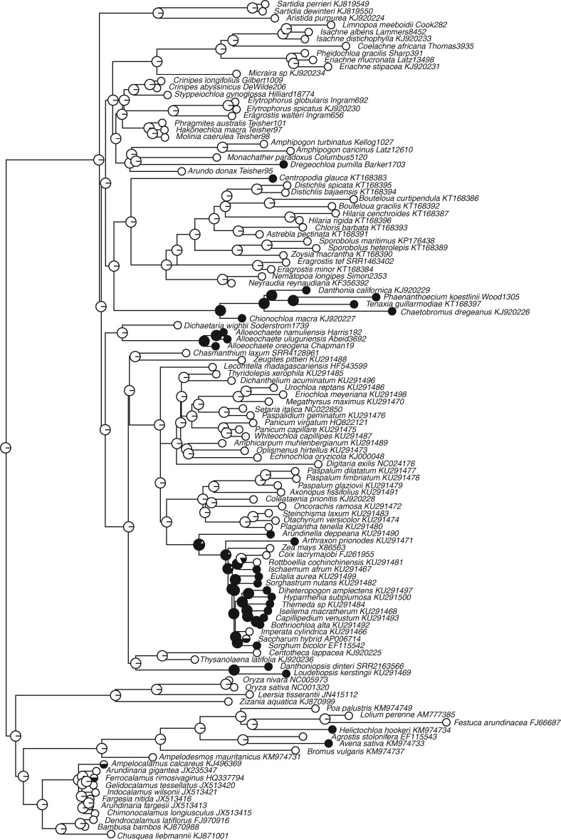 Fig. 3.