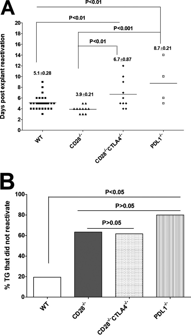 FIG 4