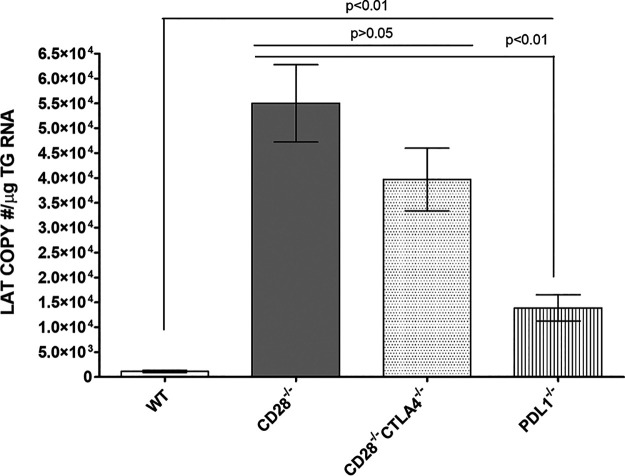 FIG 3