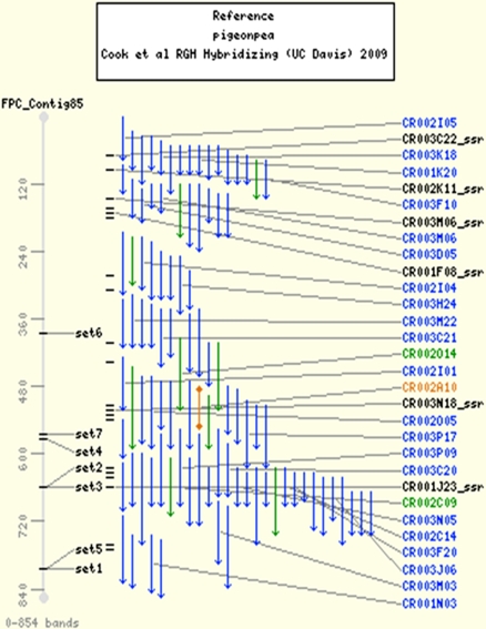 Fig. 4