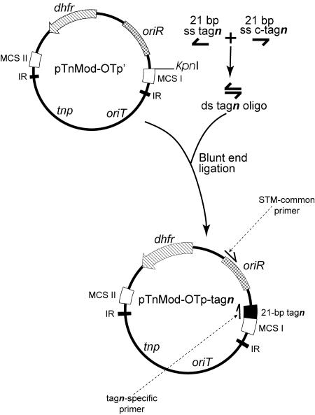 FIG. 1.