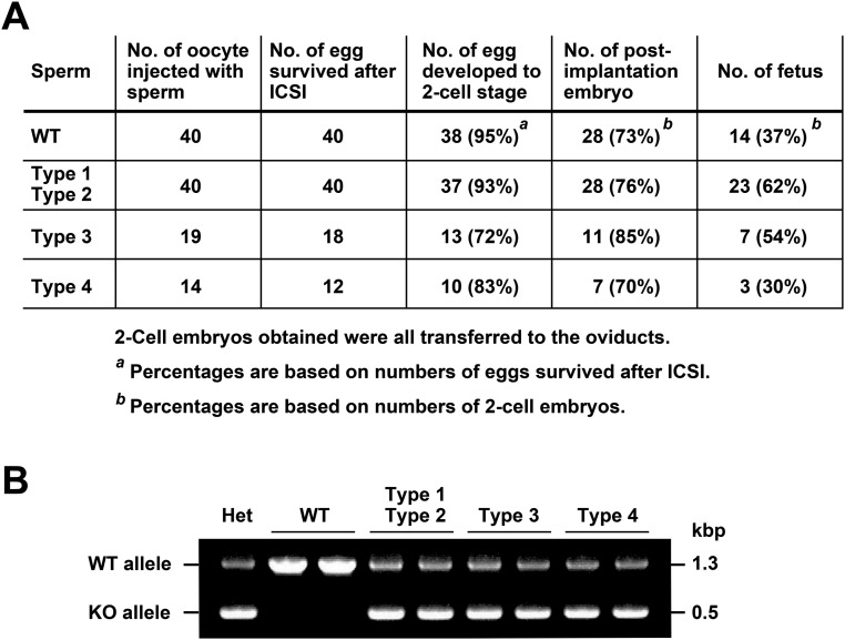 Fig. S7.