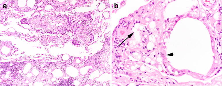 Fig. 6