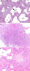 Fig. 3