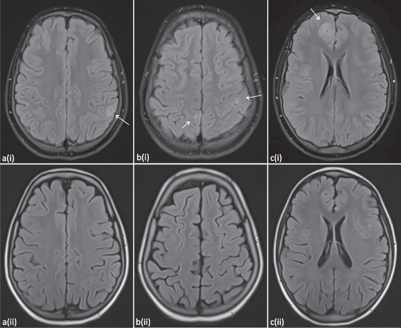 Fig. 5