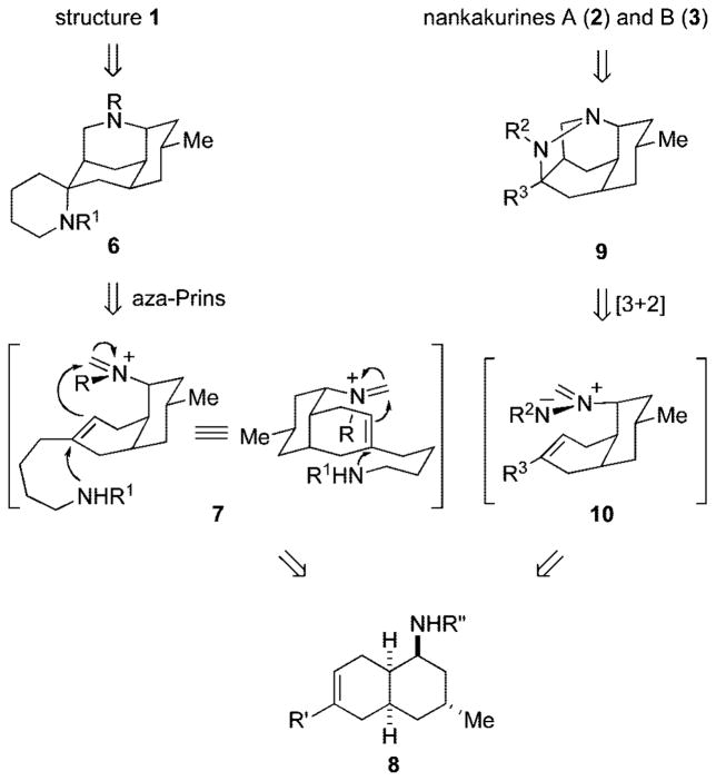 Scheme 1