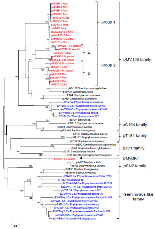 Figure 6