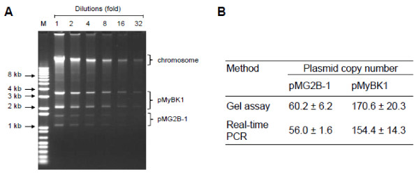 Figure 5