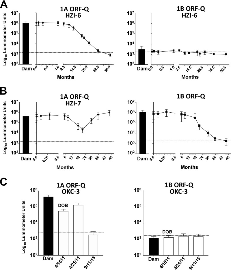 FIG 6