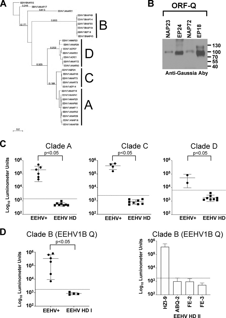 FIG 4