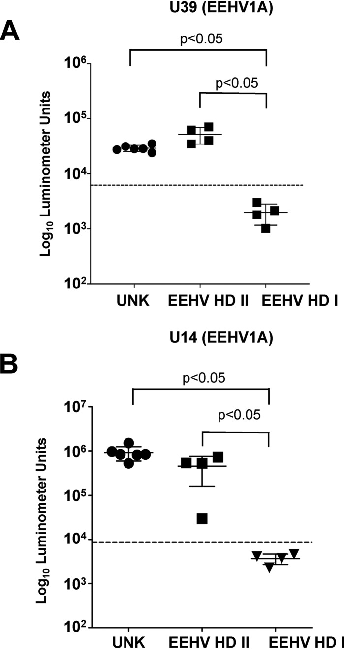 FIG 3