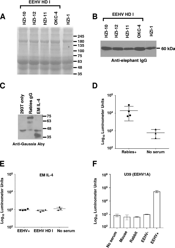 FIG 2