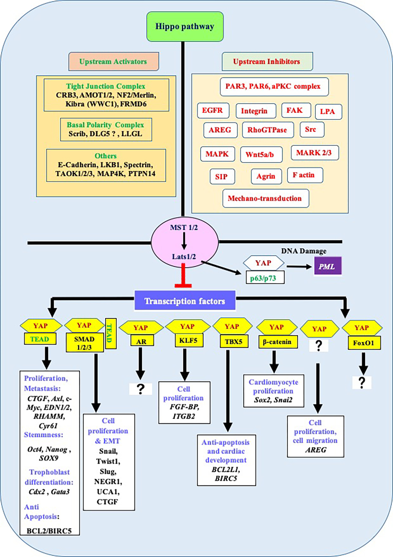 Figure 3: