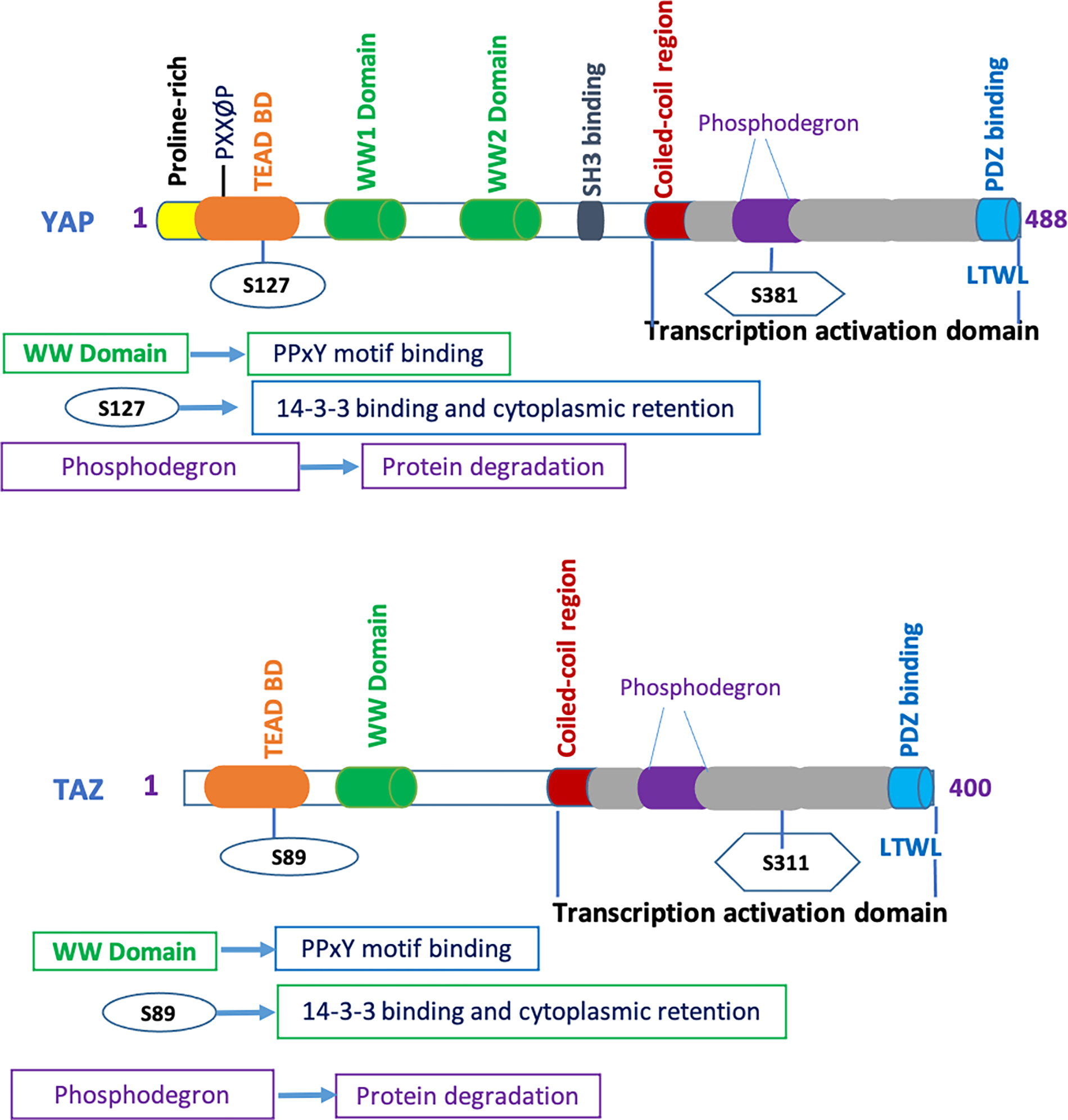 Figure 2: