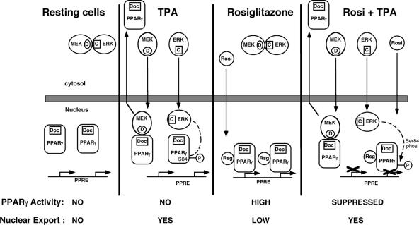 FIG. 10.