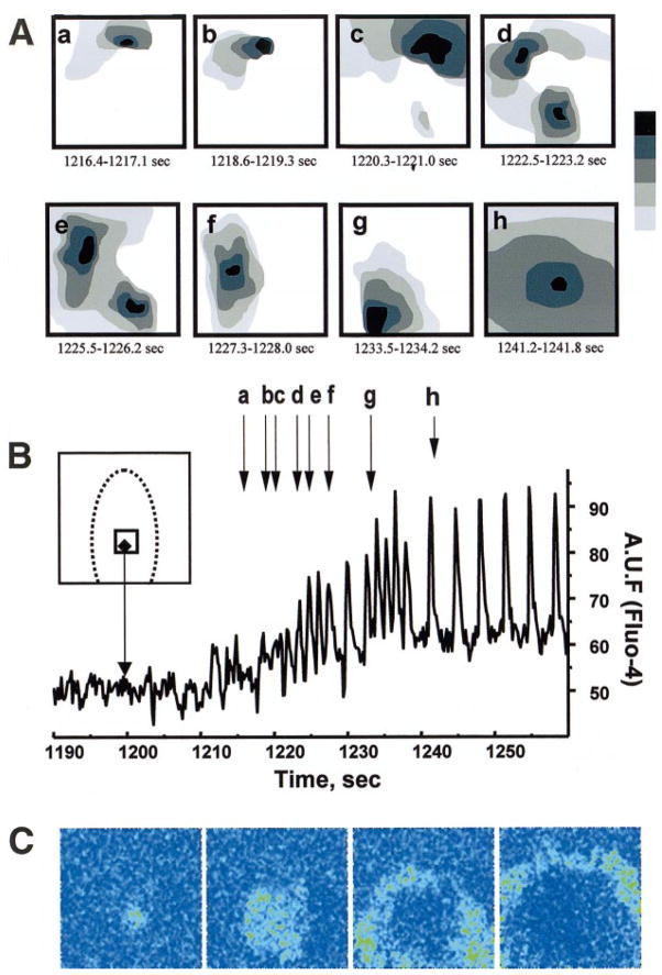 Fig. 8