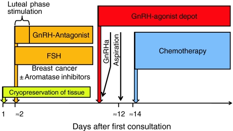 Fig. 2