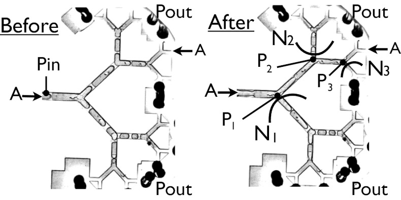 Fig. 5.