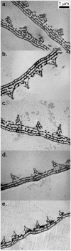 Figure 8